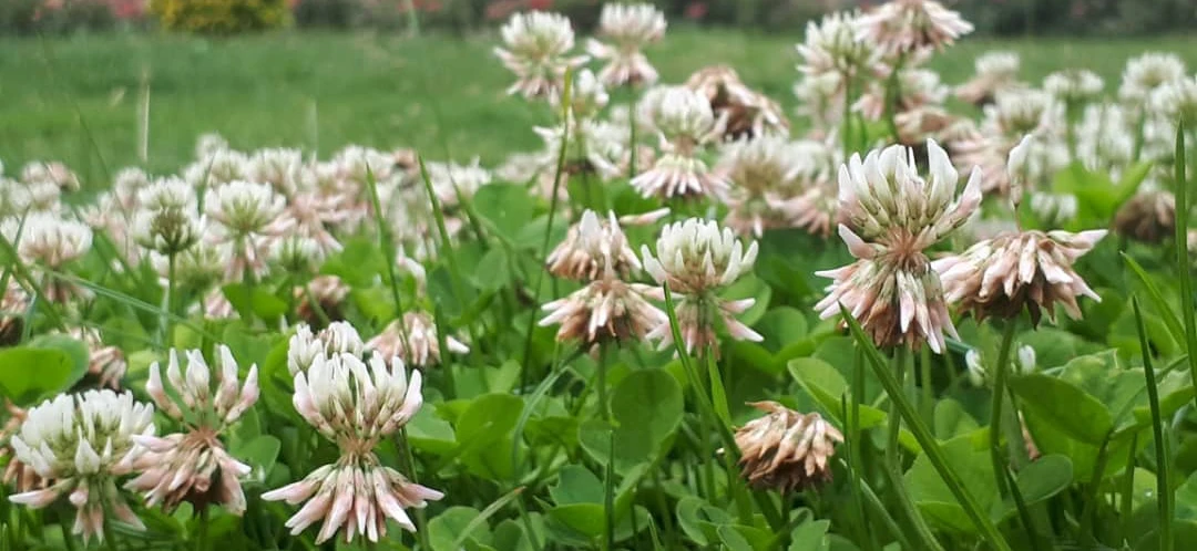 توضیحات فایل ۳